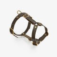 Bild in Galerie-Betrachter laden, Leather Dog Harness – Classy Collection | CHOUCHOÚ®

