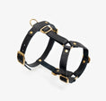 Bild in Galerie-Betrachter laden, Leather Dog Harness – Classy Collection | CHOUCHOÚ®
