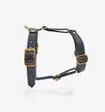 Bild in Galerie-Betrachter laden, Leather Dog Harness – Classy Collection | CHOUCHOÚ®
