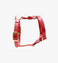 Bild in Galerie-Betrachter laden, Leather Dog Harness – Classy Collection | CHOUCHOÚ®
