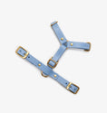 Bild in Galerie-Betrachter laden, Leather Dog Harness – Classy Collection | CHOUCHOÚ®
