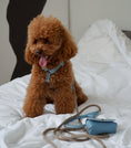 Bild in Galerie-Betrachter laden, Leather Dog Harness – Classy Collection | CHOUCHOÚ®
