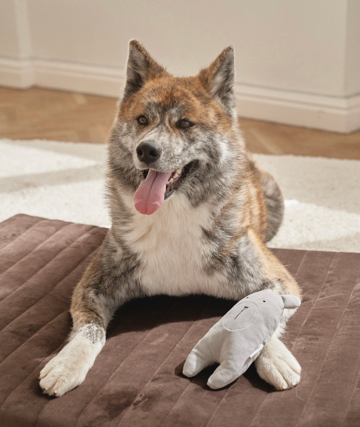 Soft toy for dogs "Olaf" moose calf with rustling sound in the ears S, CHOUCHOÚ